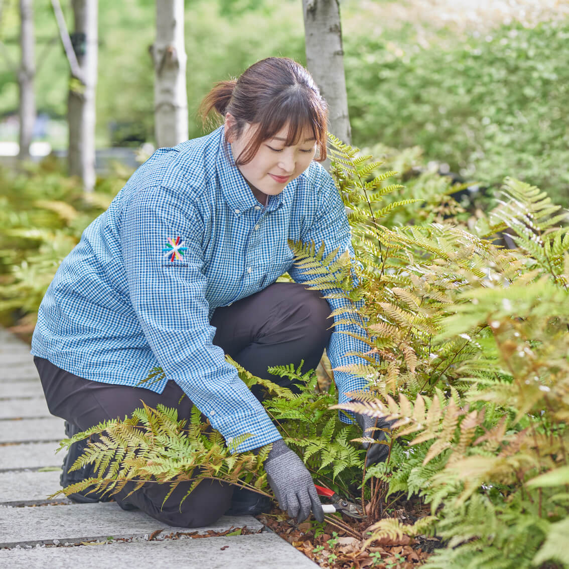 「そろえることで生まれる心地よさ」